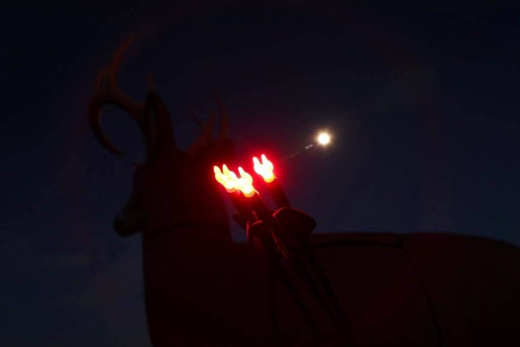 Nockturnal-G Lighted Nock for Arrows with .165 Inside Diameter Including Victory, Easton and G-Uni Brands - Blue 3-Pack : Archery Nocks : Sports & Outdoors