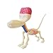 Jason Freeny Mini Balloon Dog Skeleton Anatomy Model, Transparent, 10 Pieces, Small, Children, Youth