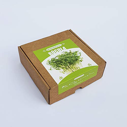 Garden Pocket Microvegetales Pop UP - Kit de Interior de germinados de Semillas ecológicas x3 (Rúcula)