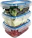 Snips / Snipslock Set de 3 boîtes alimentaires de 1,80 LT/ 23,5 x 18,5 x 13 cm/BPA Free/ Made in Italy, Bleu