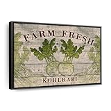 ElephantStock Fresh Kohlrabi Wall Art - Horizontal Floating Framed Canvas - 1-Piece Living Room Wall Decor...