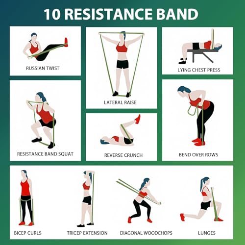 Image of LEEKEY Resistance Bands, Exercise Bands with Handles,Pull Up Assist Bands - Bands for Working Out,Band for Men and Women Fitness Training, Physical Therapy,Home Workouts