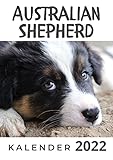  Australian Sheperd: Kalender 2022