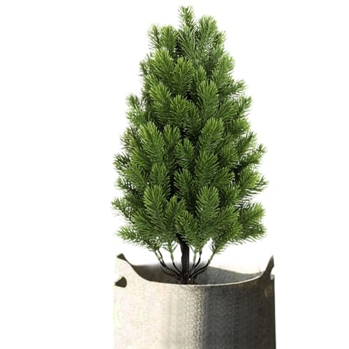 �l�H���̖؁A���A���Ȏ��O���ϐ��g�s�A���[�A���̃N���X�}�X�c���[�̉��O�����A�z�[���f�R���[�V�����A��A�|�[�`�A�p�e�B�I�A�ʘH�A�Ő��A�����A�_�Ƃ̃p�[�e�B�[�ɁB