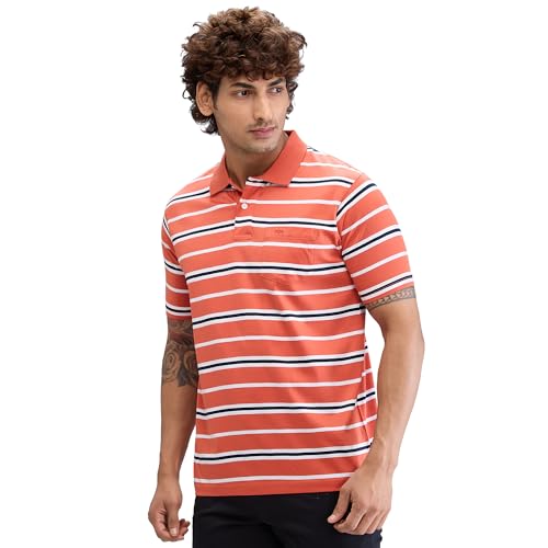 Image of Colorplus Men's Classic Fit Stripe Pattern Pure Cotton Half Sleeve Polo Neck Casual T-Shirt