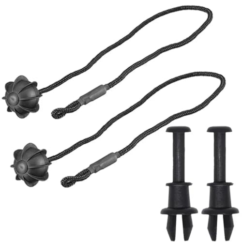 NIONGYN Corde Coffre Voiture Compatible avec A3 pour 8P 2003 2004 2005 2006 2007 2008 2009 2010 2011 2012 Clips De Ficelle pour Étagère À Colis De Coffre Arrière Z5867769