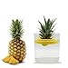 Produktbild R&R SHOP Ananas-Keimgerät - Schwimmender Topf zur Ananas-Keimung, Pflanzenwachstums-Kit, 100% Mais-Kunststoff (Gelb)
