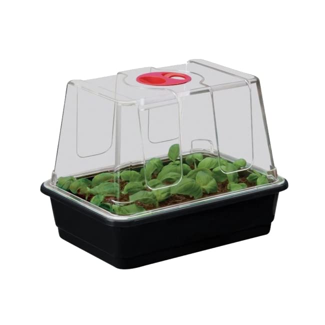 Muddy Hands High Dome Propagator Garden Greenhouse Plant Seedling Seed Germination Tray with Lid (Tray Comes Without Drainage Holes) (Small)
