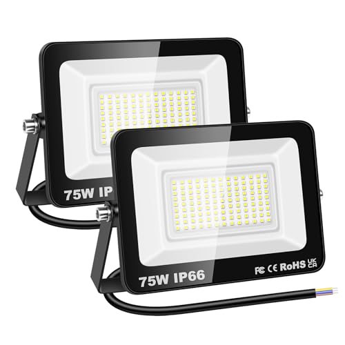 RIGIDON 2 Pcs Outdoor Flood LED Work Light, 75W 7500 Lumens Floodlight