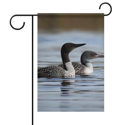 Loon Birds Spring Summer Garden Flags 12x18 Double-Sided