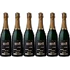 Fritz Walter Riesling Sekt b.A. Trocken (6 x 0.75 l)
