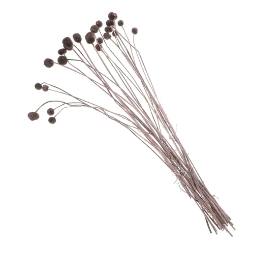 Bouquet 20pcs Flores Secas Craspedia Natural Café DIY miniatura 1