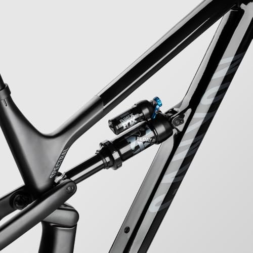 Canyon Spectral 29 CF 8