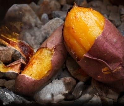 (脳内ダイレクトに響く糖度)ギリギリまで糖化させた幻のシャトーブリアン焼き芋2026年2月中旬〜発送