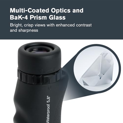 Celestron – Nature 10x25 Monocular – Ideal for Hiking and Wildlife Viewing – Multi-Coated Optics – 25mm Objective Lens – BaK-4 Prism –Twist-Up Eyecup – Waterproof & Fogproof by Celestron - Image 3