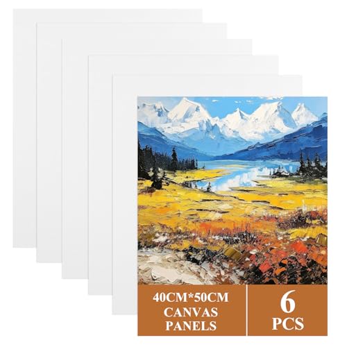 Image of ASelected 6 Pcs Stretched Canvas 50 x 40 Cm Large Canvas for Painting, Primed Art Canvases for Painting 100% Cotton Acid Free Professional Art Canvases for Acrylic Oil Gouache Watercolour (White)