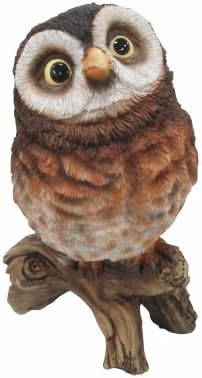 DHI Acquisition 302810 0.24" Curious Owl Statue