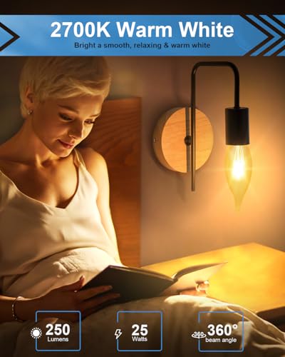 SerBion B10 Light Bulbs - Image 7