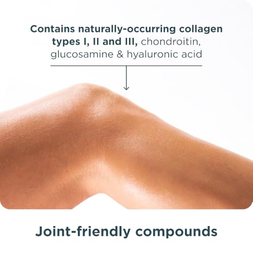 ancient nutrition grass fed cage free bone broth protein powder 20g protein hydrolyzed collagen peptides keto amp paleo friendly supports joint gut health vanilla 20 servings