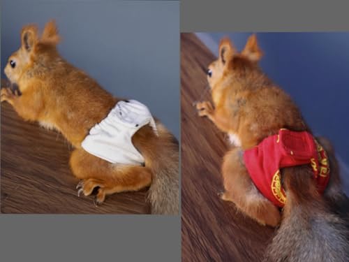 Image of Squirrel Diapers-Highly Absorbent with Strong & Flexible Hook and Loop Pants No Leak Reusable Diapers Urine Wet Pants for Squirrel,Fancy Rat,Groundhog (3pc, M)