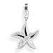 Produktbild Heartbreaker Seestern Charm und Karabiner in Echtsilber | Kollektion Sealife | Maxi Seesterncharm aus 925 Sterlingsilber für Damen | HB MX 007
