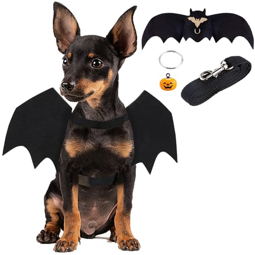 Haustier Fledermausflügel,Hund Fledermaus Kostüme mit 2Pcs Pumpkin Bell,Katze Fledermaus Kostüm,Halloween Katze Kleidung,Halloween Haustier Kostüm,Haustiere Cosplay-Kostüm(Schwarz)