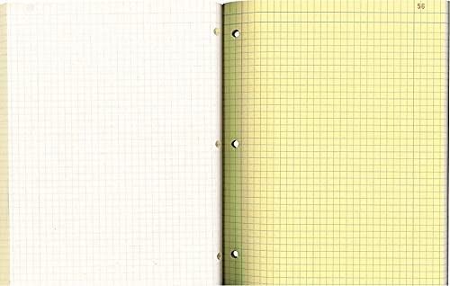 Blueline RED43649 National Laboratory Notebook thumb #1