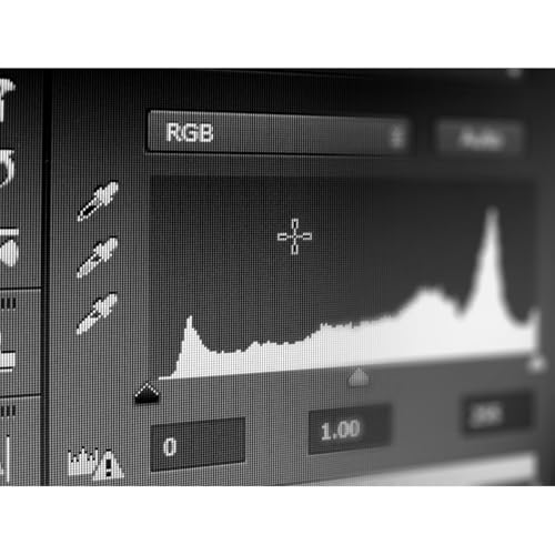 Lastolite-LL-LR1250-12-Inch-Ezybalance-Card-GreyWhite