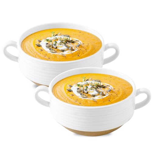 HASENSE Ceramic Soup Bowls with Handles Set of 2, 20 Oz French Onion Soup Crocks, Stackable Serving...