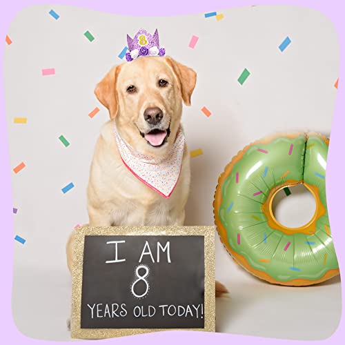 Pet Show Purple Crown Dog Birthday Party Hat For Girls Reusable Party Supplies Cat Kitten Headband With 0-9 Figures Charms Costume Accessories With Glue Dots #TOP5