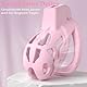 Meeteel Hohldesign Peniskäfig für Männer Harz Keuschheitskäfig Herren Sexspielzeug mit 5 Penisringe 3D Chastity Cage Male SM Penis Käfig Extrem Pink Keuschheitsgürtel Fesseln & Bondage, Mittel