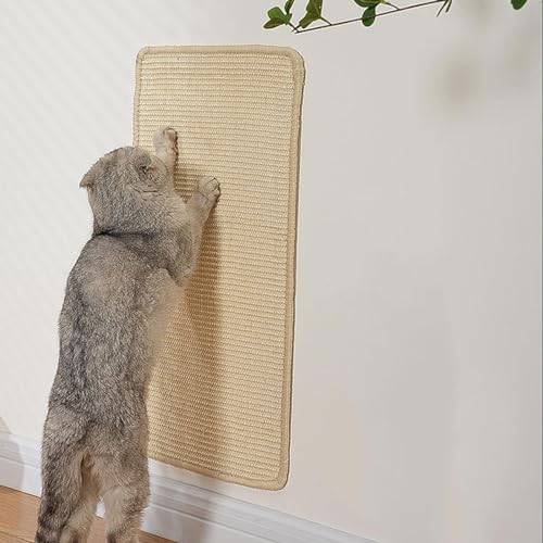 Tapis à gratter mural pour chat, le jouet de divertissement idéal