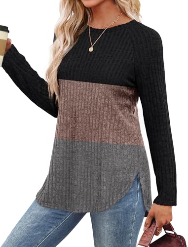 Image of Saloogoe Long Sleeve Shirts for Women 2025 Fall Clothes Tunic Tops Loose Fit Dressy Crewneck Pullover Sweaters Curved Hem