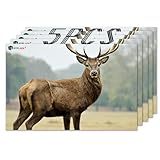 Atflbox 23' x 35' Highly Visible Non-Reactive Animal Shooting Paper Target, Big Game Realistic Deer Heavy-Duty Paper Targets for Use with All Guns & Calibers - Folded (5 Pack)