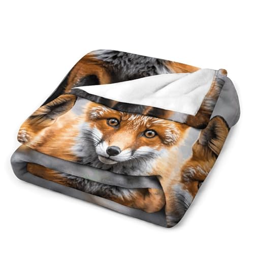 Plaid renard en flanelle légère idéal pour vos soirées canapé et pique-nique