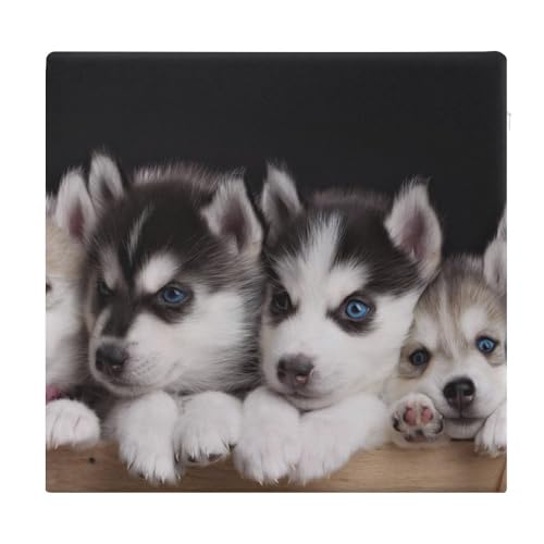 Coussin Husky mousse mémoire de forme galette de chaise bureau lavable - 2