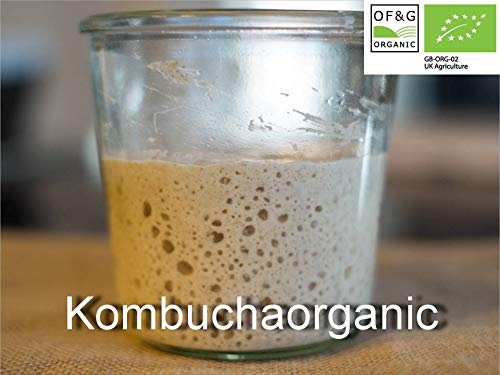 lievito madre naturale genuino, Lake District da 38 anni, lievito di birra biologico, lievito per pane di segale, farina integrale, biga liquida, 80g