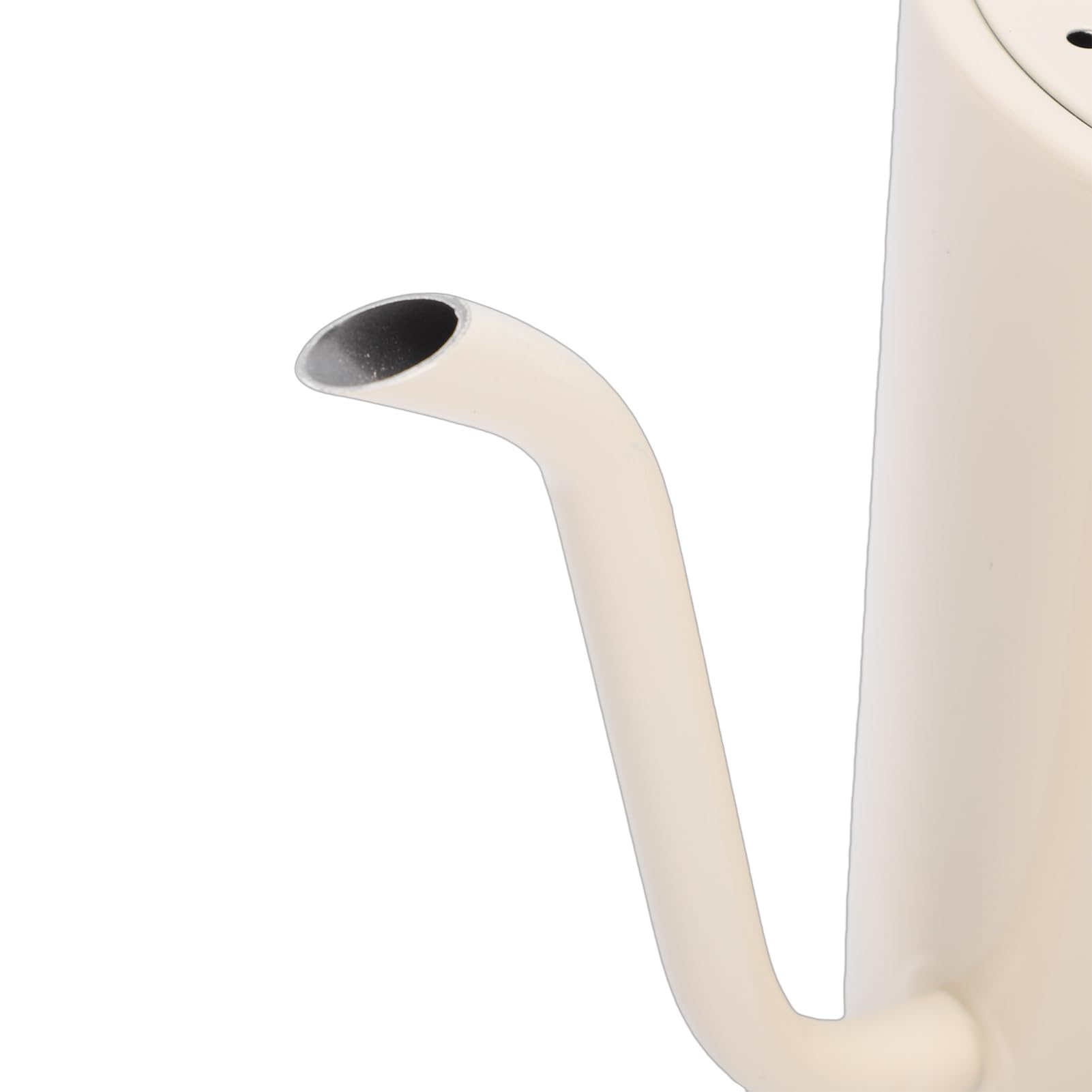 Hervidor Eléctrico con Cuello de Cisne, Hervidor de café de Acero Inoxidable de 600W y 800ml con Control Preciso de Temperatura, para Cocina Casera (Enchufe europeo 220V)