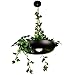 Produktbild WREEE Luftblumentopf Leuchter, Kreative Topfpflanzen Deckenpendelleuchte Für Küche Island Restaurant Cafe Bar Bekleidungsgeschäft Dekoration Hang Licht E27, D40 * H21cm,Schwarz