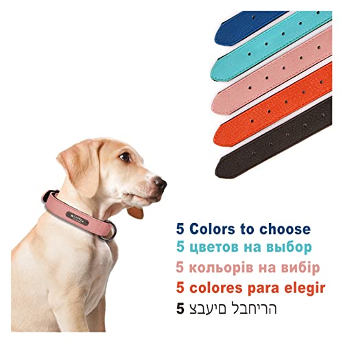 Collier pour chien qui tire : la solution en cuir noir ajustable taille L - 5