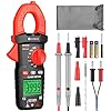 Neoteck Pinza Amperometrica Digitale, Multimetro con Pinza True RMS 600A 4000 Counts, Tester per Corrente AC/DC, Capacità, Continuità, Resistenza, NCV per Elettricisti, Industriale e Energia Solare