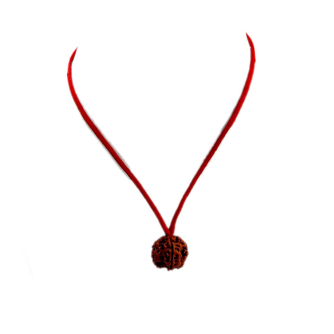 Lab Certified 6 Mukhi Rudraksha Original & Real Natural 6 Face Rudraksha Beads Locket Man and Women