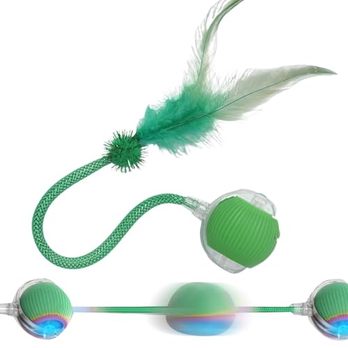 L{[ - Lbg,X}[gÉ[d ەt{[ ^p ^ ANeBu`FCX V