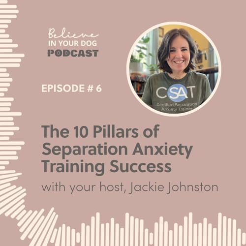 10 Pillars to Separation Anxiety Success cover art