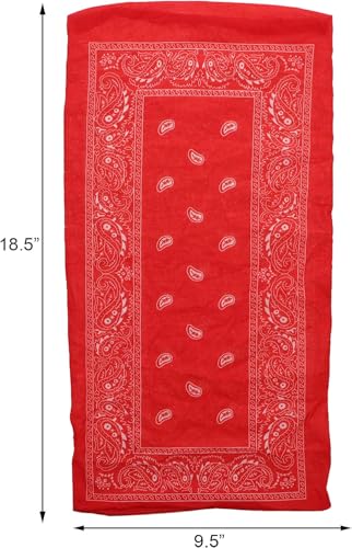 Image of Motique Accessories Paisley Bandana Neck Gaiter Tube Headwear Motorcycle Face Scarf