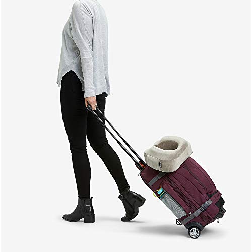 eBags Mother Lode Rolling Travel Backpack (Brushed Indigo)