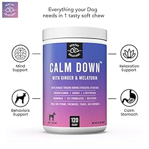 Calming Chews for Dogs – Dog Calming Treats for Anxiety & Stress Relief with Melatonin and Ginger – Aid with Storms, Grooming, Fireworks, Separation, Travel, Motion Sickness, & Sleep – 120 Chews