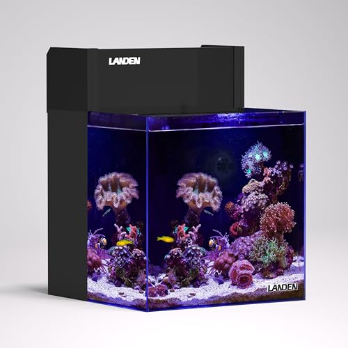 LANDEN EzCube 30 Rimless Saltwater Aquarium