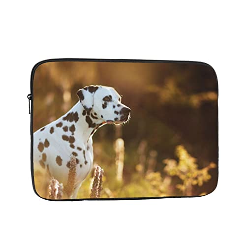 _VA̎ʐ^ m[gp\RP[X 17 inch C` bvgbvX[u PCP[X X[uP[X Ci[P[X ϏՌ ϐ ʋ ʊw 킢 یP[X/m[gubN/^ubg