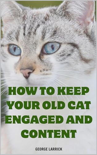 How to Keep Your Old Cat Engaged and Content (English Edition)